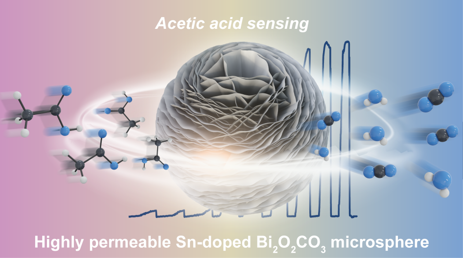 a71d09536973a5dfd4539a820645ba8