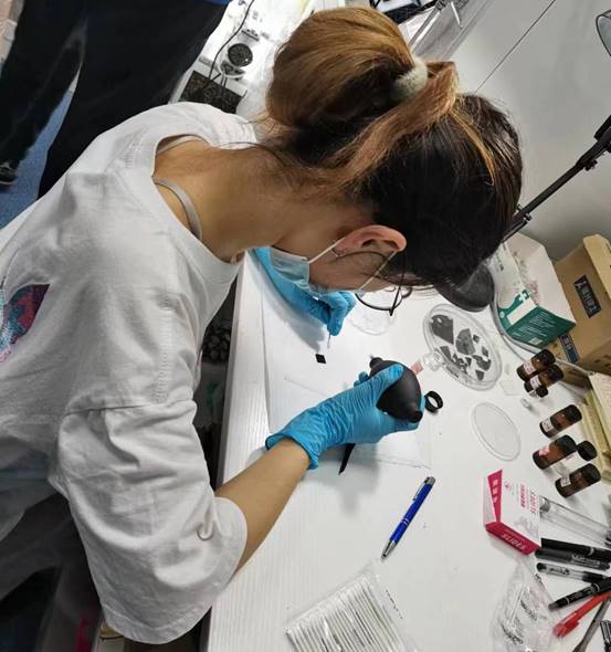 說明: 微信圖片_20231105224728